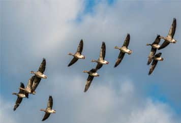 شرط رسیدن به مقصد با هم بودن است