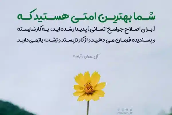بهترین امت