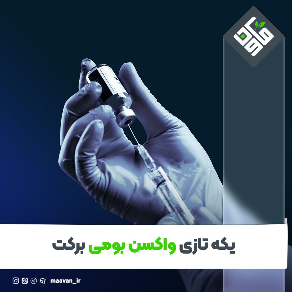 واکسن بومی برکت