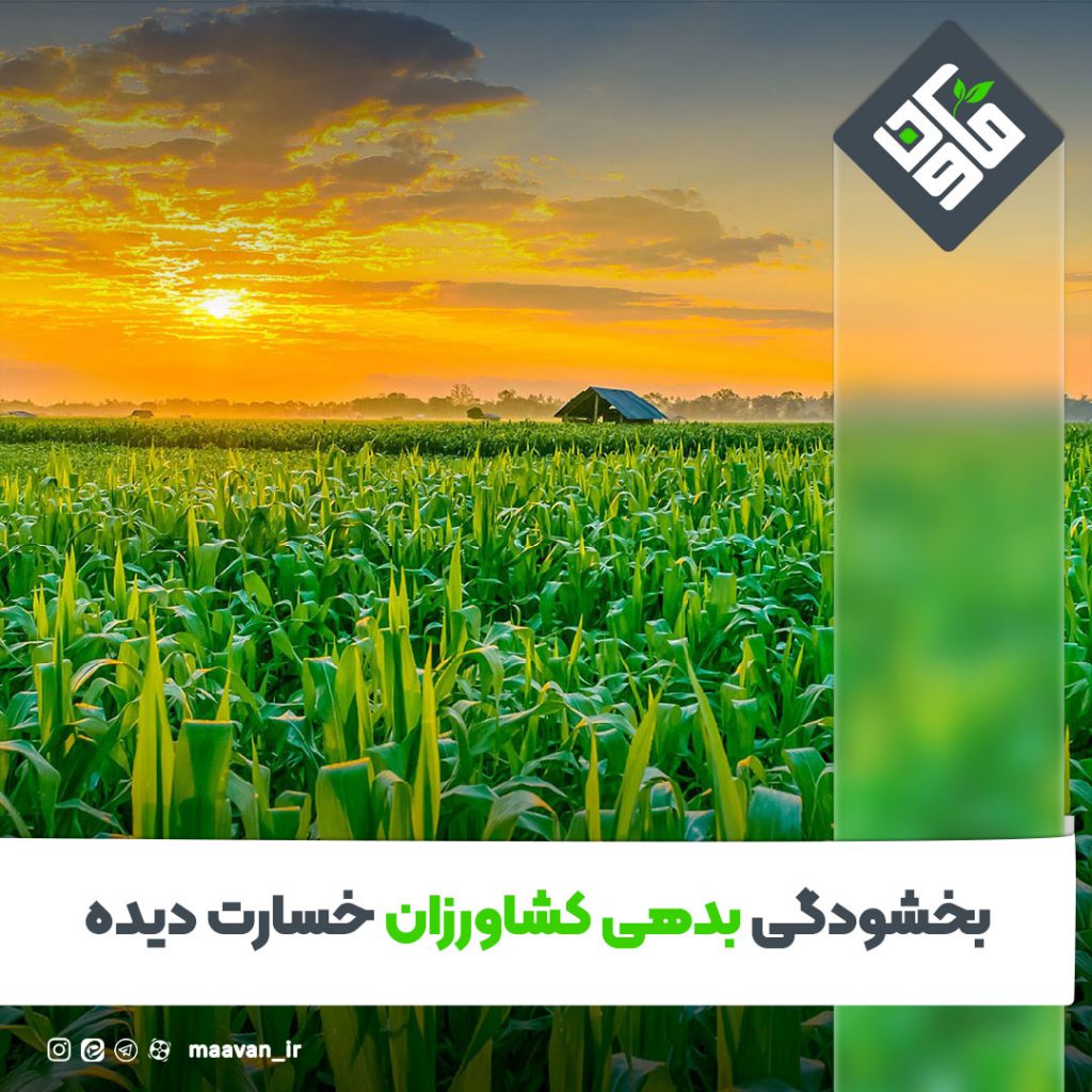 بخشودگی بدهی کشاورزان