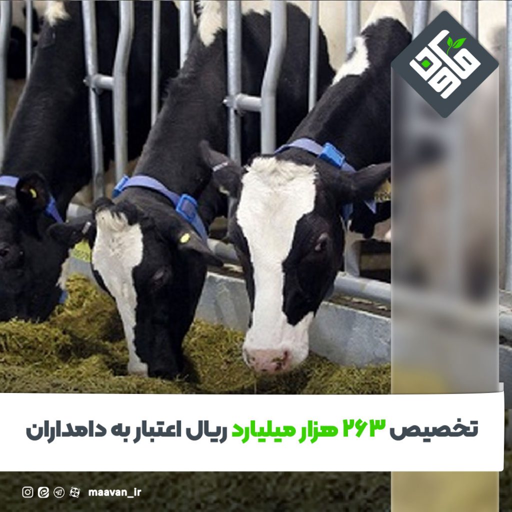 دامداران