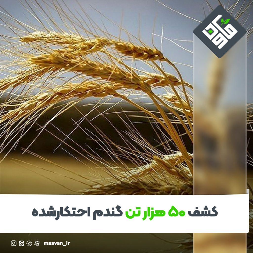 اخبار خوب هفته – ۱۴۰۱/۰۴/۰9