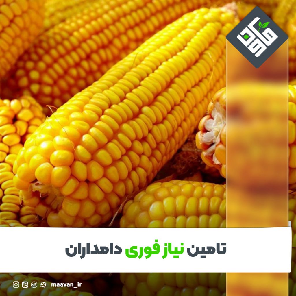 اخبار خوب هفته – ۱۴۰۱/۰۳/۱9