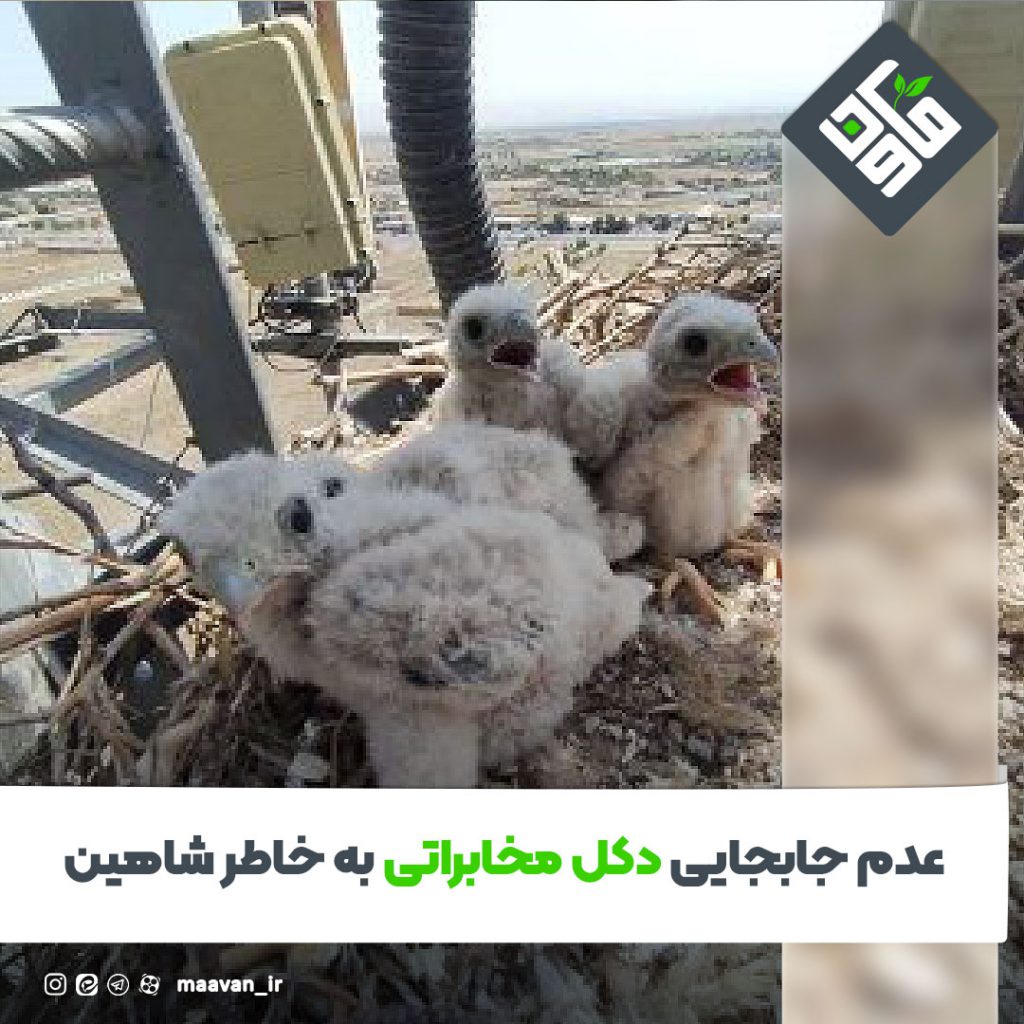 اخبار خوب هفته – ۱۴۰۱/۰۳/26