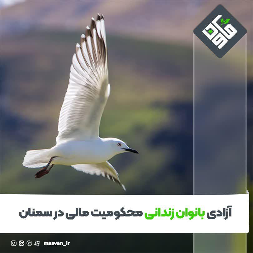 اخبار خوب هفته – ۱۴۰۱/۰۳/12