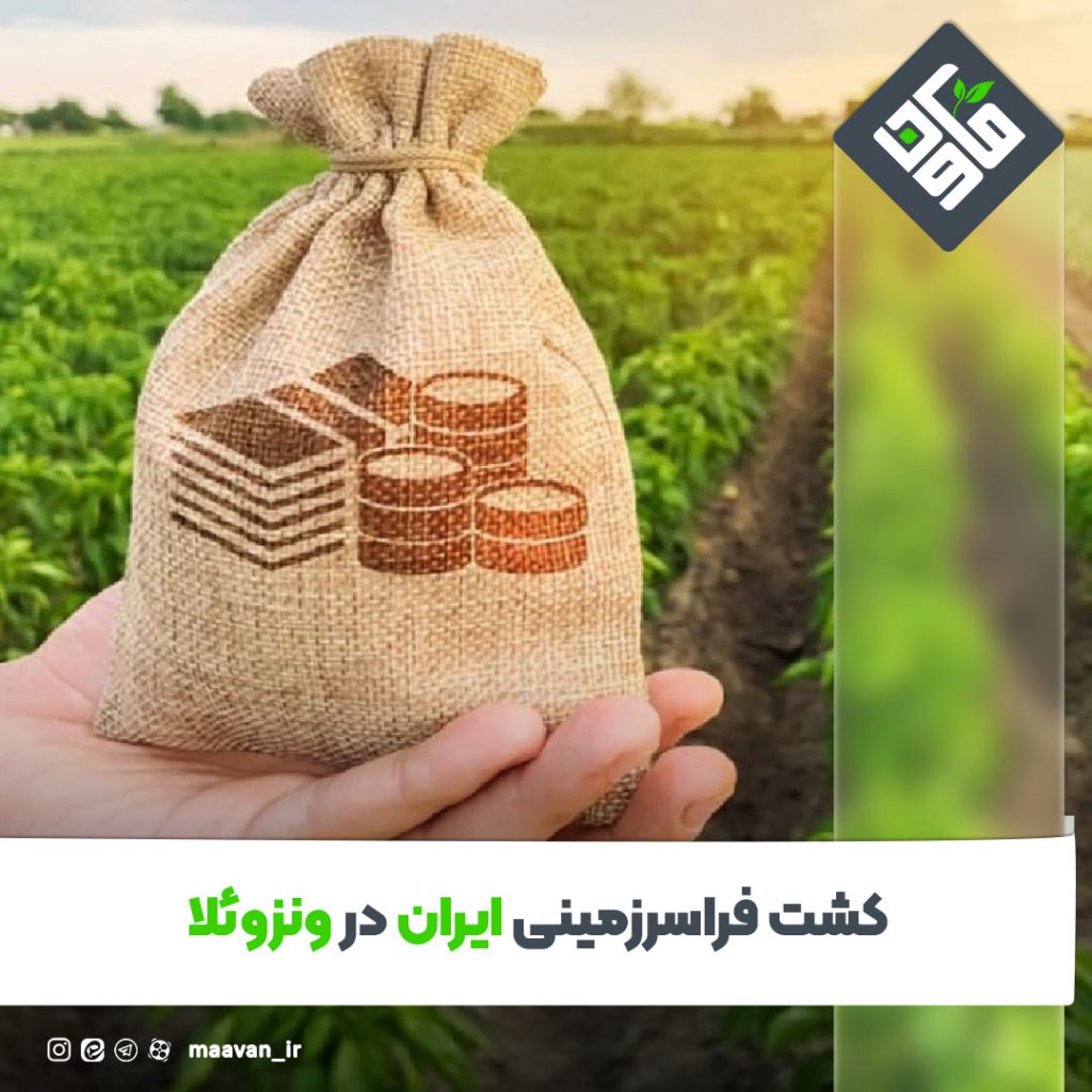 اخبار خوب هفته – ۱۴۰۱/۰5/06