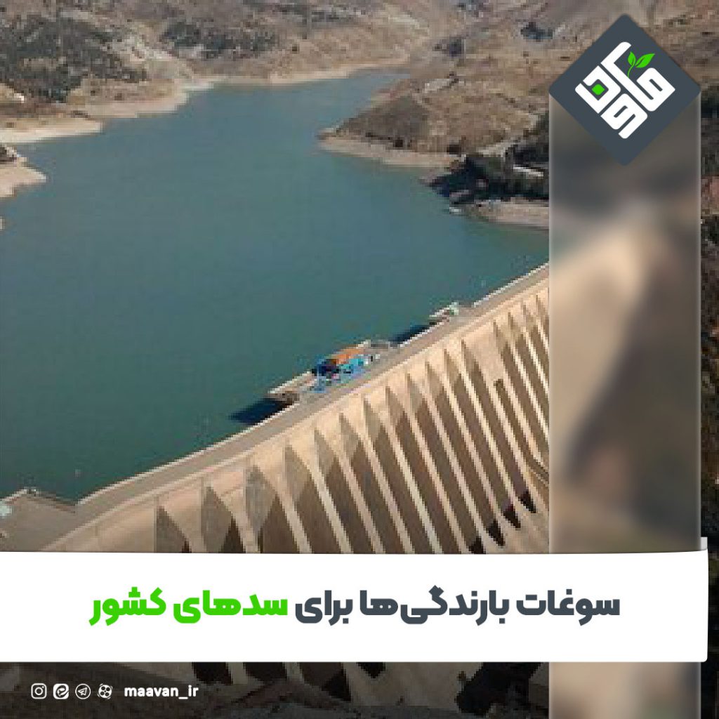 اخبار خوب هفته – ۱۴۰۱/۰۵/13