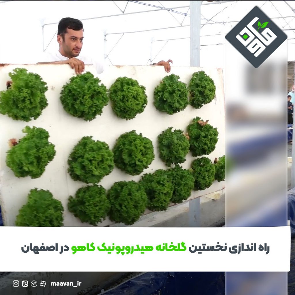 اخبار خوب هفته – ۱۴۰۱/۰6/03