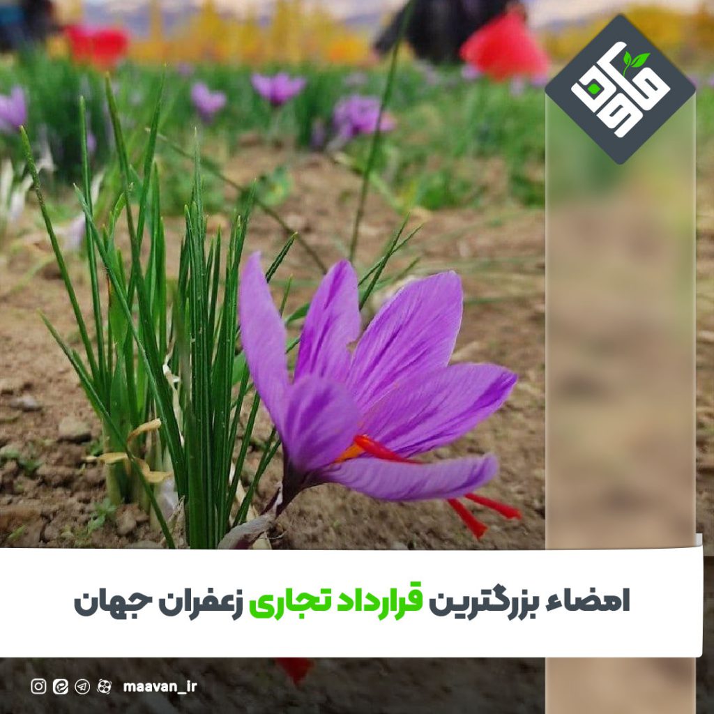 اخبار خوب هفته – ۱۴۰۱/۰7/07