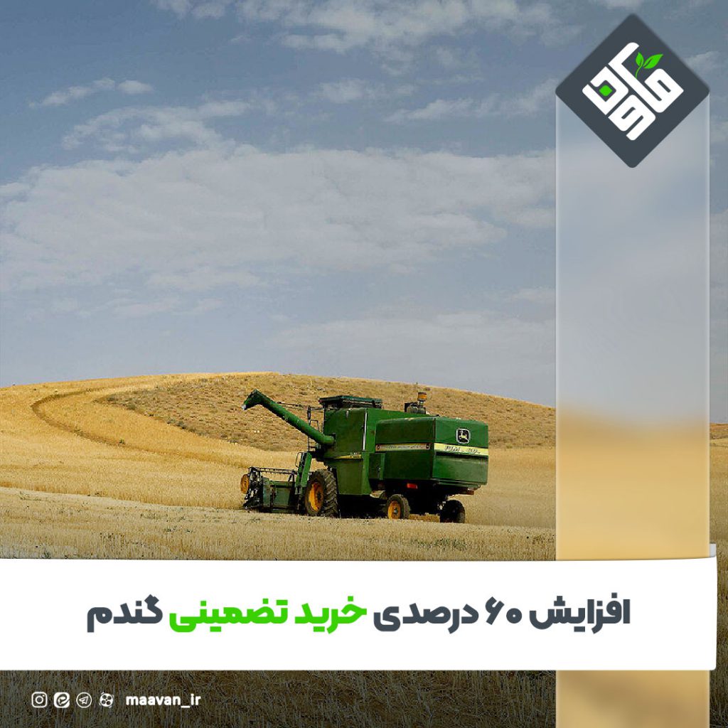 اخبار خوب هفته – ۱۴۰۱/۰7/07