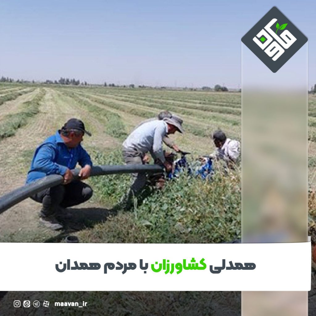 اخبار خوب هفته – ۱۴۰۱/۰۶/10