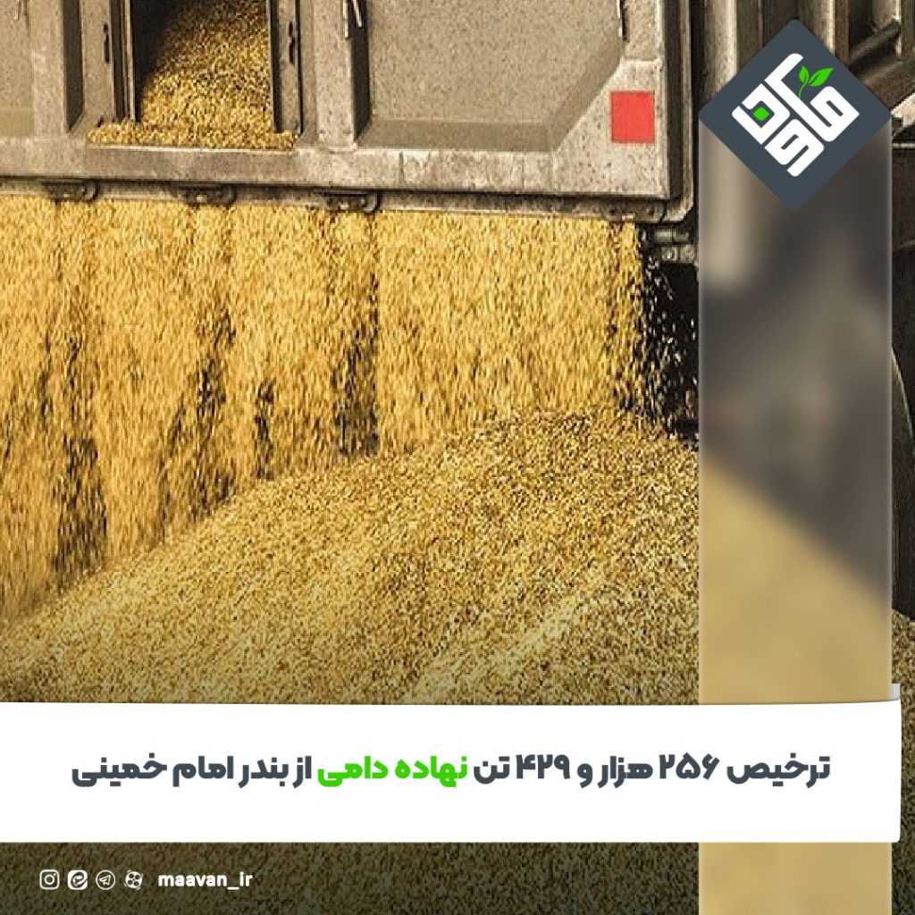 اخبار خوب هفته – ۱۴۰۱/۰۶/31