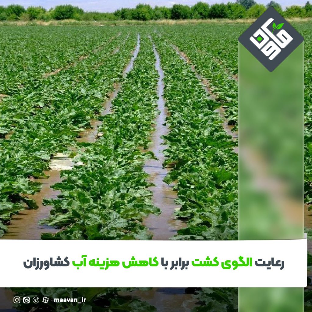 اخبار خوب هفته – ۱۴۰۱/۰۶/10