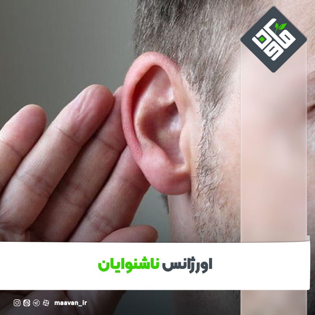 اخبار خوب هفته – ۱۴۰۱/۰۷/21