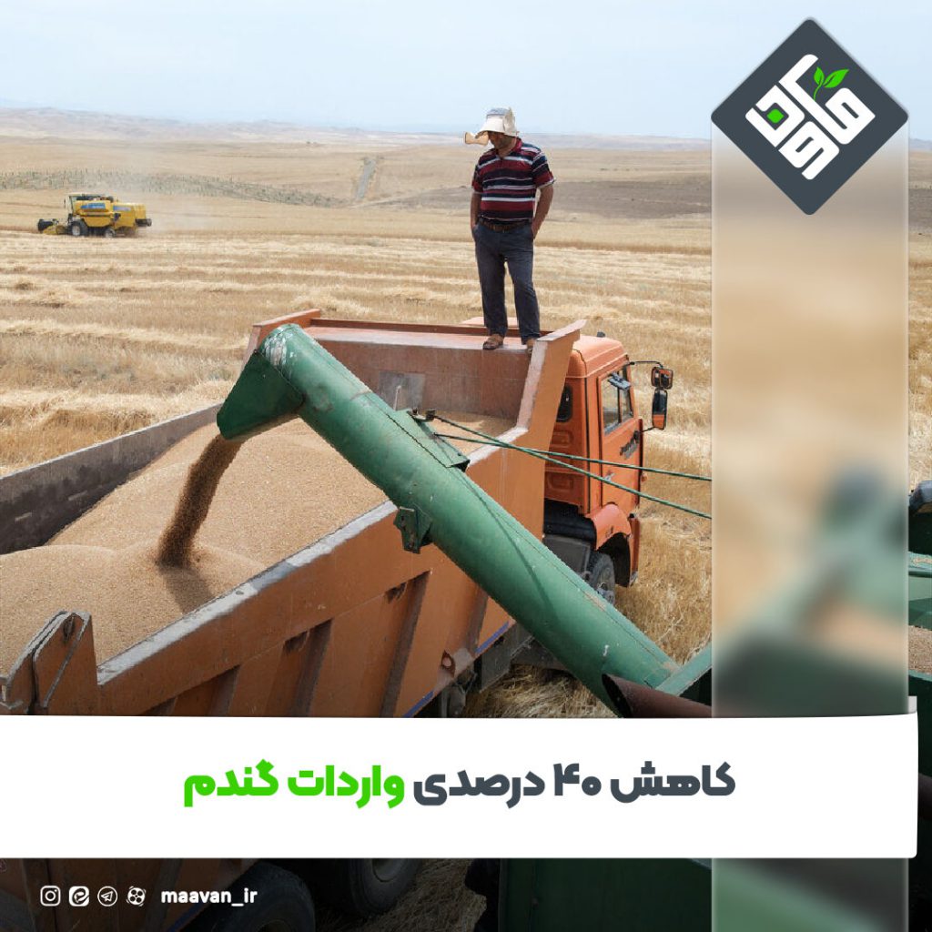 اخبار خوب هفته – ۱۴۰۱/۰8/05