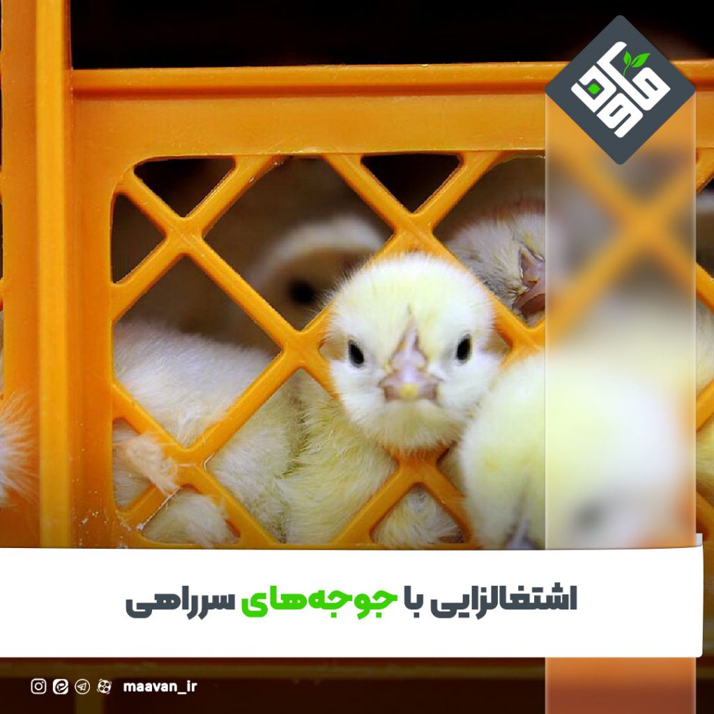 اخبار خوب هفته – ۱۴۰۱/۰۷/14