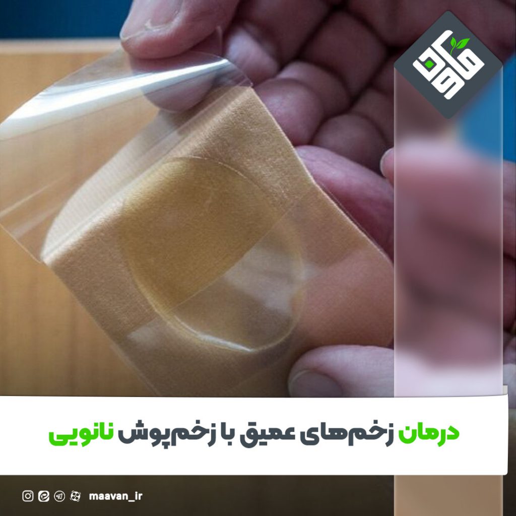 اخبار خوب هفته – ۱۴۰۱/۰۸/12