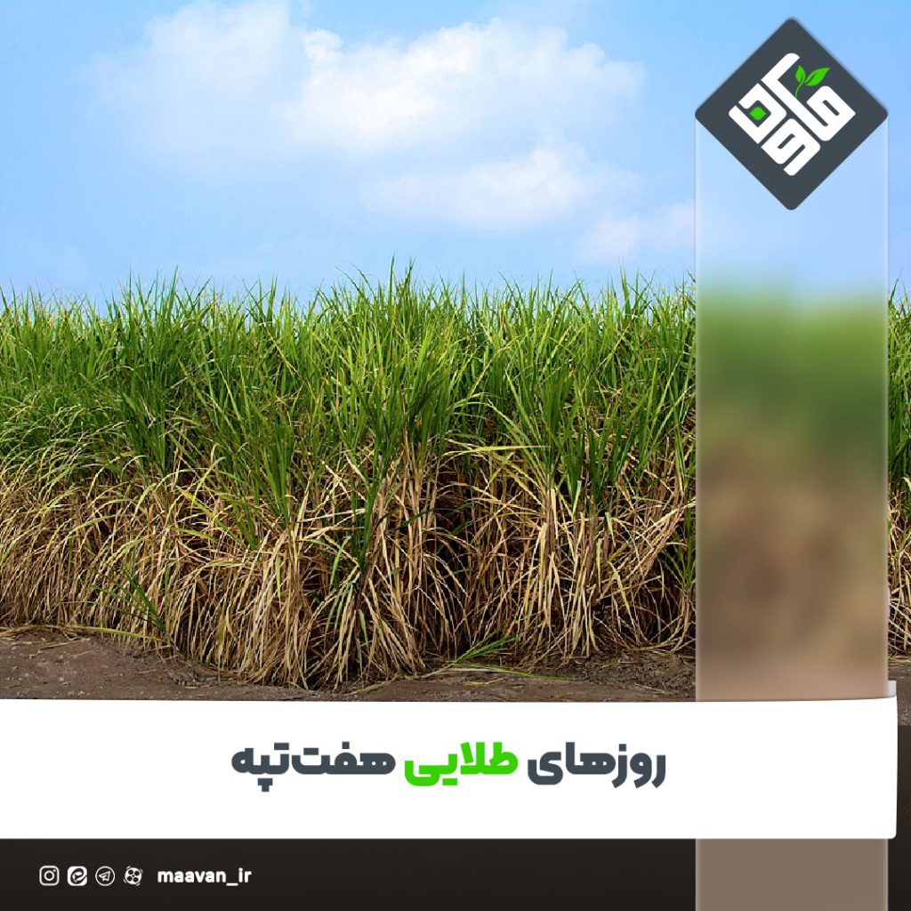 اخبار خوب هفته – ۱۴۰۱/۰۸/26