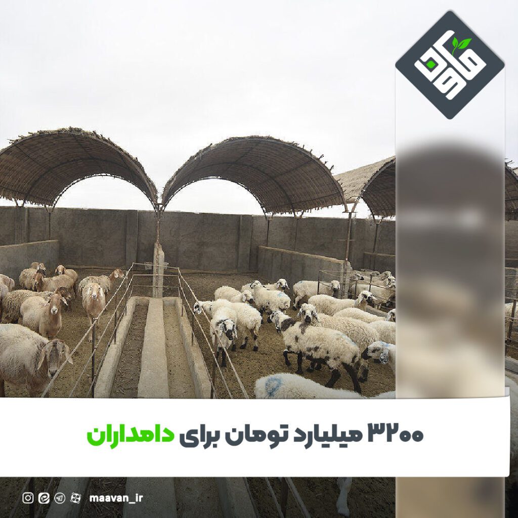 اخبار خوب هفته – ۱۴۰۱/۱۰/۰8