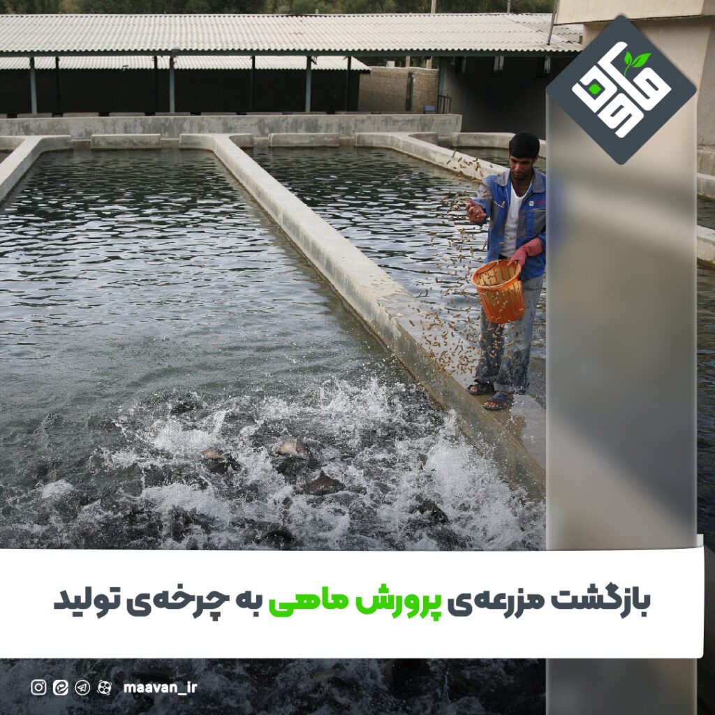 اخبار خوب هفته – ۱۴۰۱/۱۰/۰8