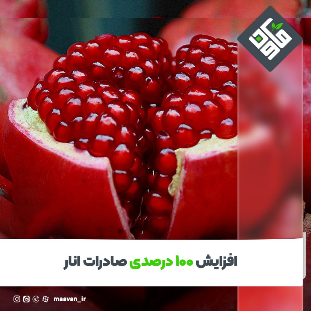 اخبار خوب هفته – ۱۴۰۱/10/01