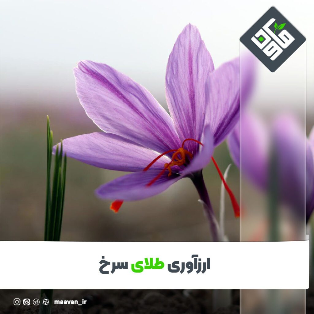 اخبار خوب هفته – ۱۴۰۱/۱۱/۲7