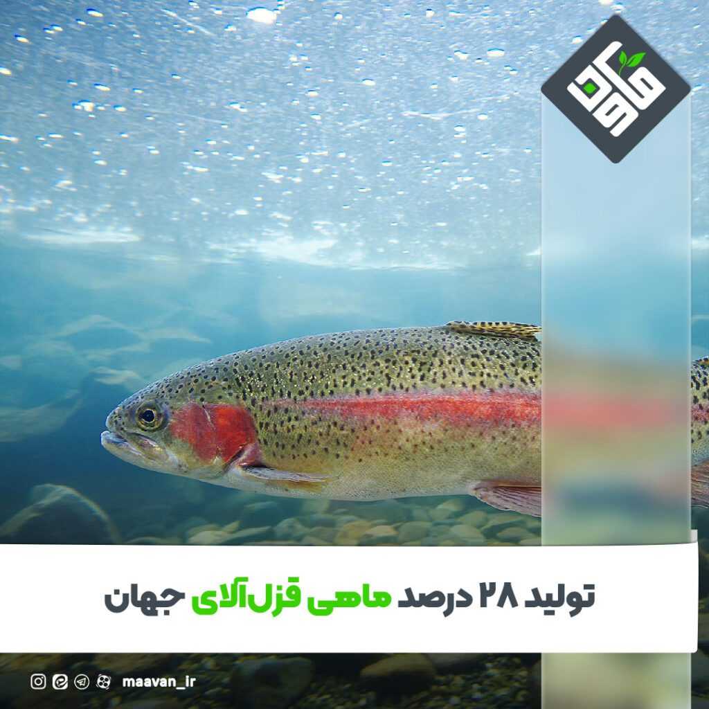 اخبار خوب هفته – ۱۴۰۱/۱2/04