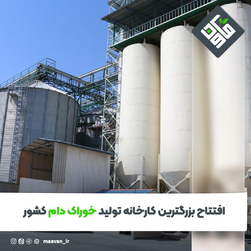 اخبار خوب هفته – ۱۴۰۱/۱۲/11