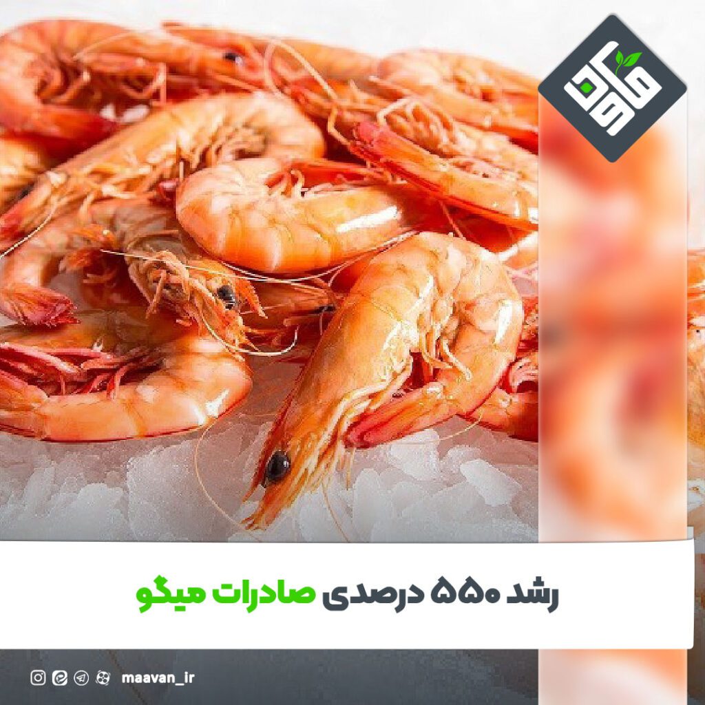 اخبار خوب هفته – ۱۴۰۱/۱۲/۱8