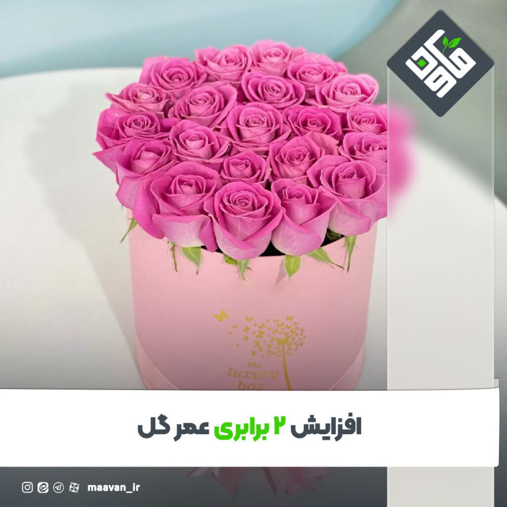 اخبار خوب هفته – ۱۴۰۱/۱۲/۱8