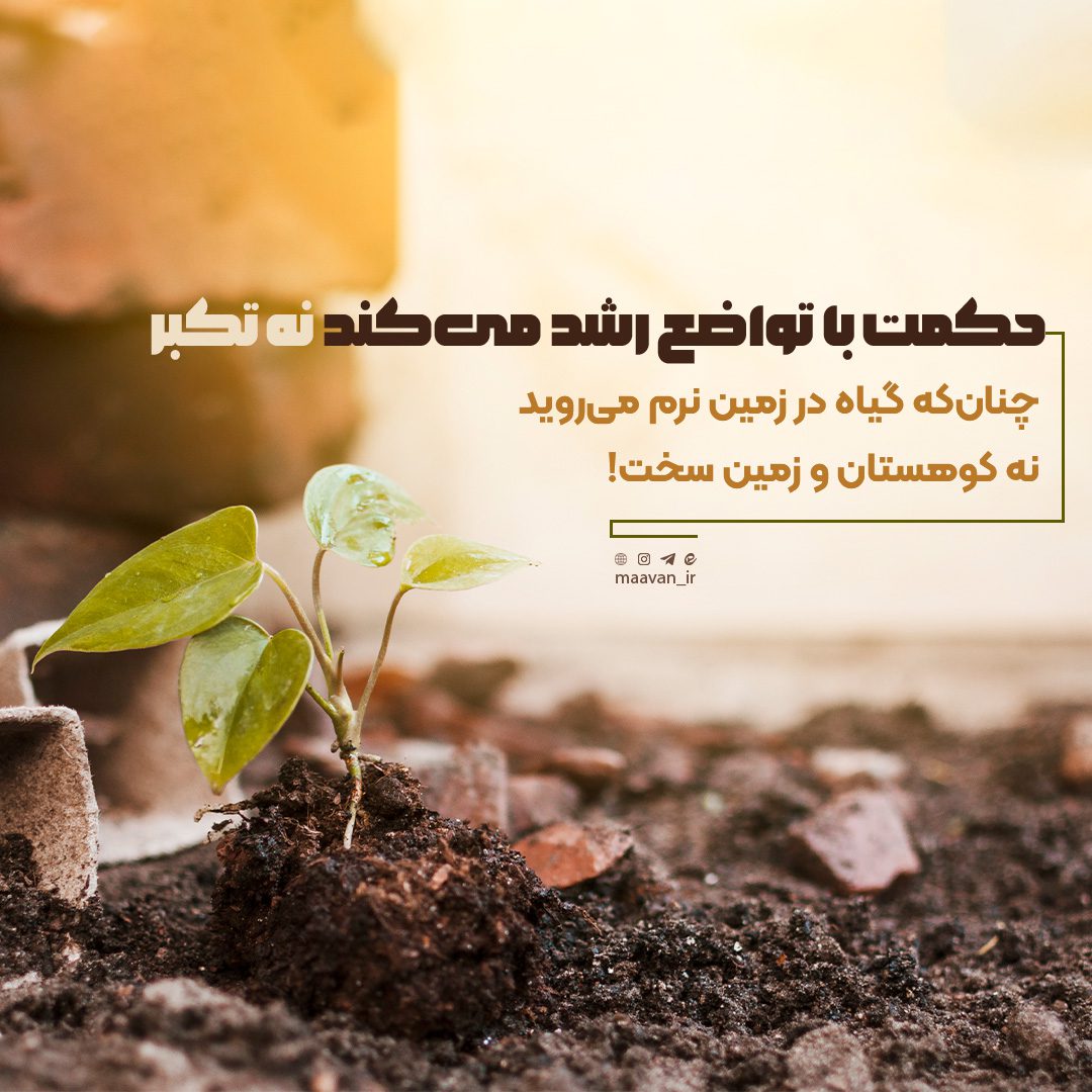 تواضع یا تکبر