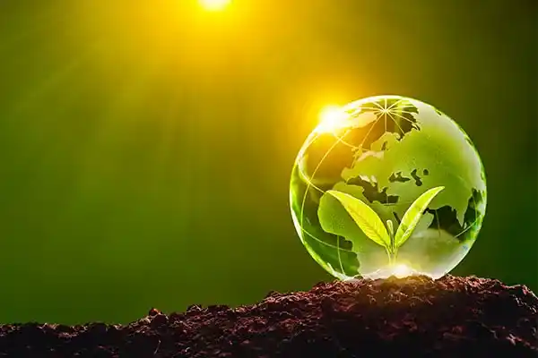 امر به معروف و نهی از منکر در جامعه