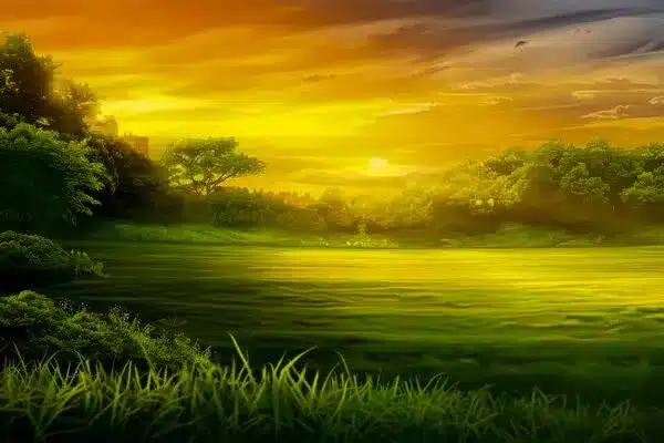 امر به معروف و نهی از منکر