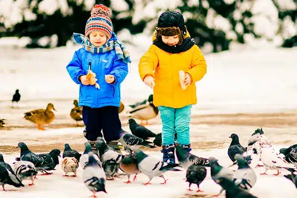 مهربانی یک مسئولیت اجتماعی است.