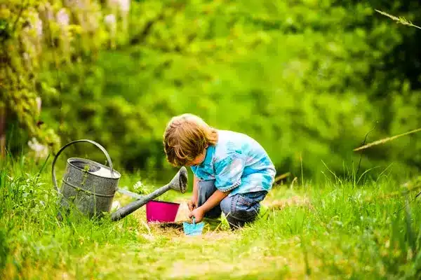 حفظ محیط زیست امر به معروف و نهی از منکر