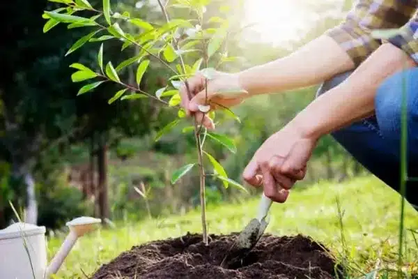 حفظ محیط زیست امر به معروف و نهی از منکر